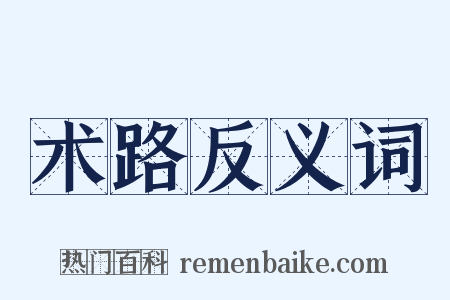 术路反义词是什么意思的图片